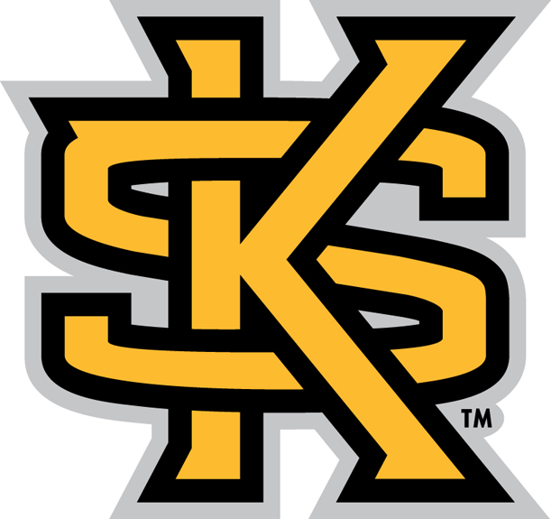 Kennesaw State Owls 2012-Pres Secondary Logo iron on transfers for clothing